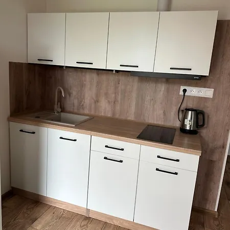 Losonci Apartment *
