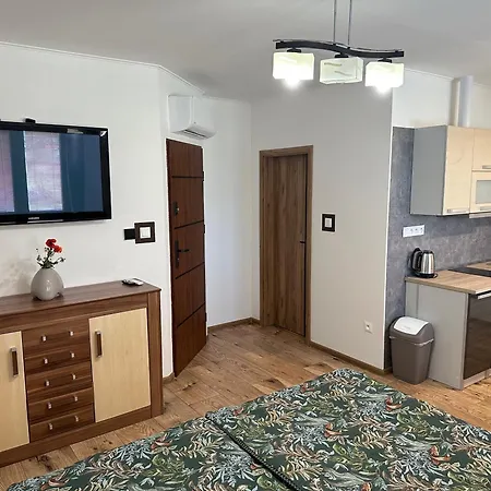 Apartment Losonci